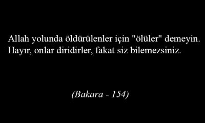 BİR AYETİN DÜŞÜNDÜRDÜKLERİ!..